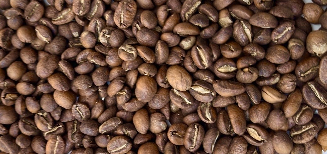 Grains de café Don Alberto